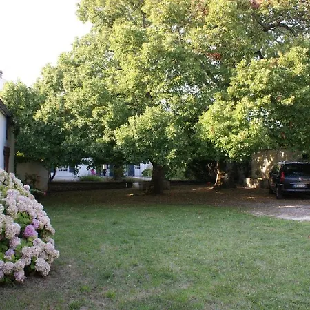 House 14 Pers - And Shops Within Walking Distance - Garden *